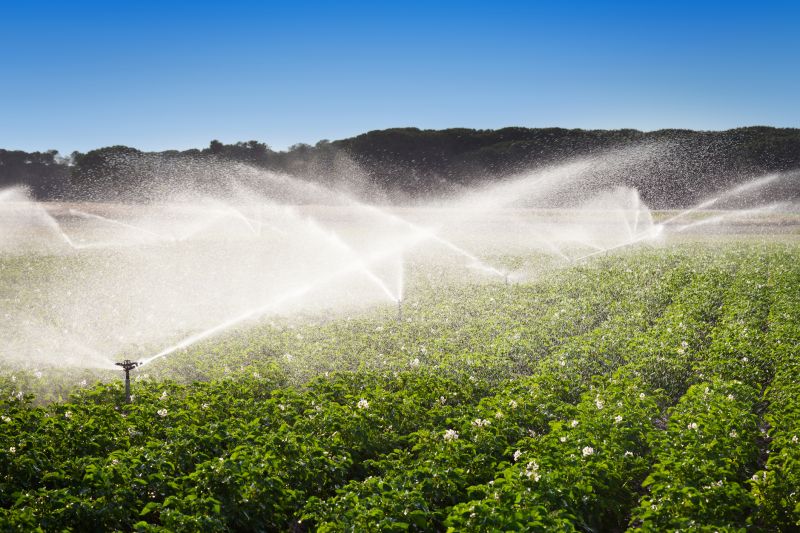 Crop Irrigation Installation in Aiken, SC