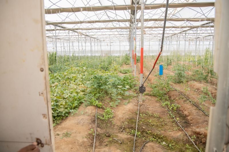 Farm Irrigation Installation in Aiken, SC